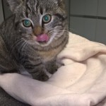 WP_20151124_10_37_34_Pro