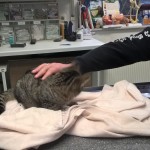 WP_20151124_10_38_34_Pro