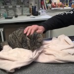 WP_20151124_10_38_37_Pro